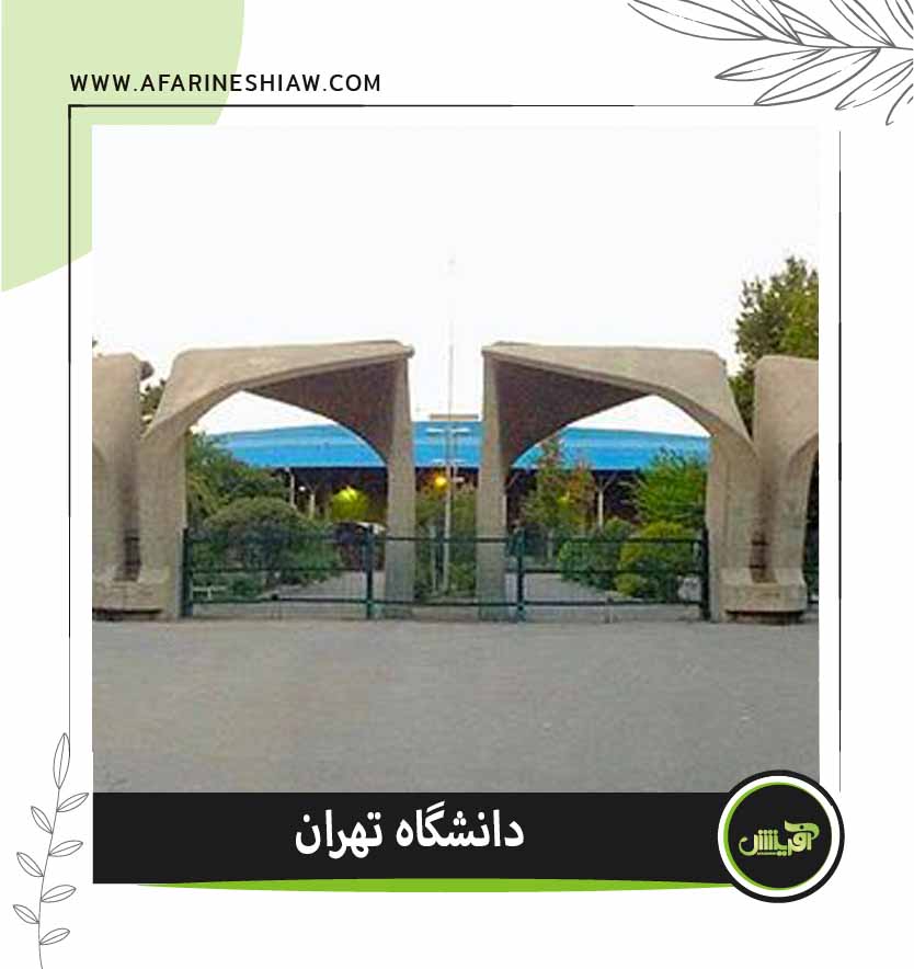 موسسه حقوقی آفرینش